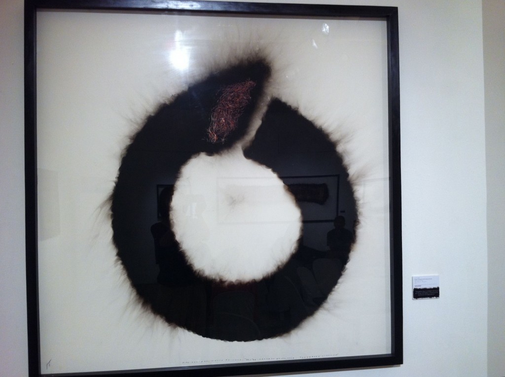 junyee dragon chasing its tail galactic donut